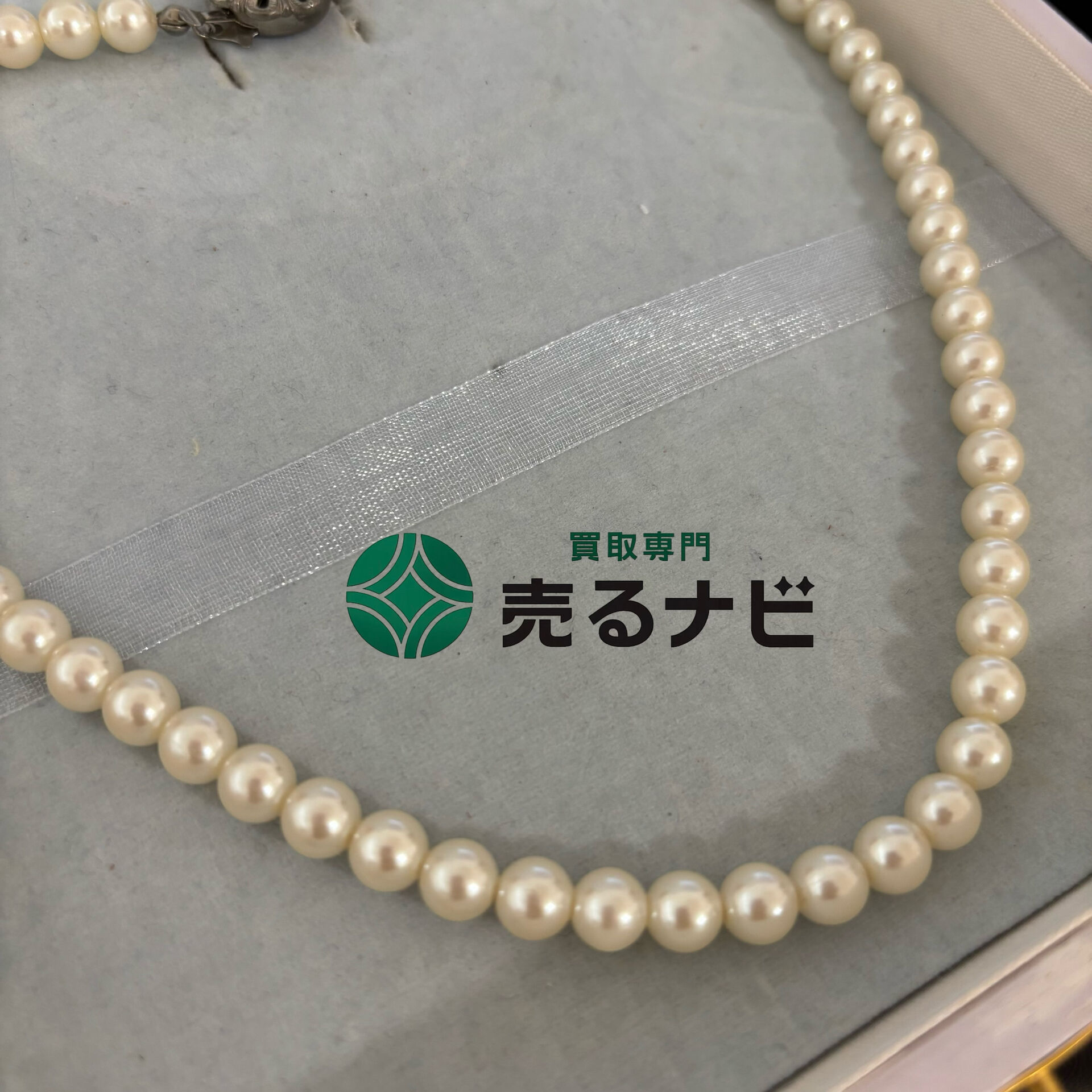 【古くなったパールにもお値段おつけします】