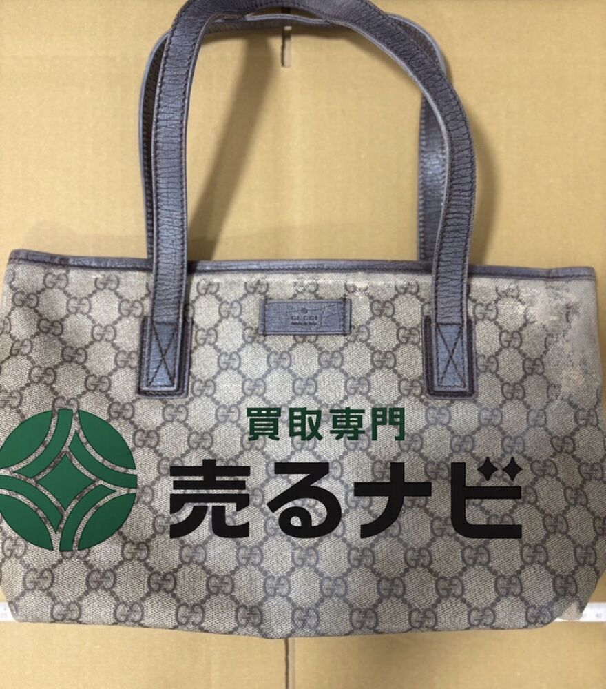 画像3258